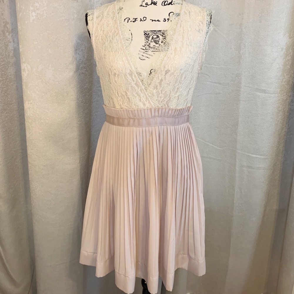 Blush Sleeveless Dress Lace Bodice Pleated Skirt